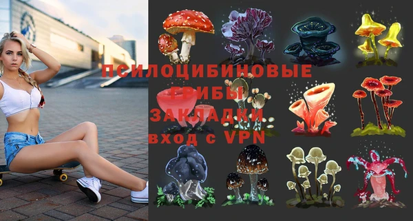прущий лед Бронницы